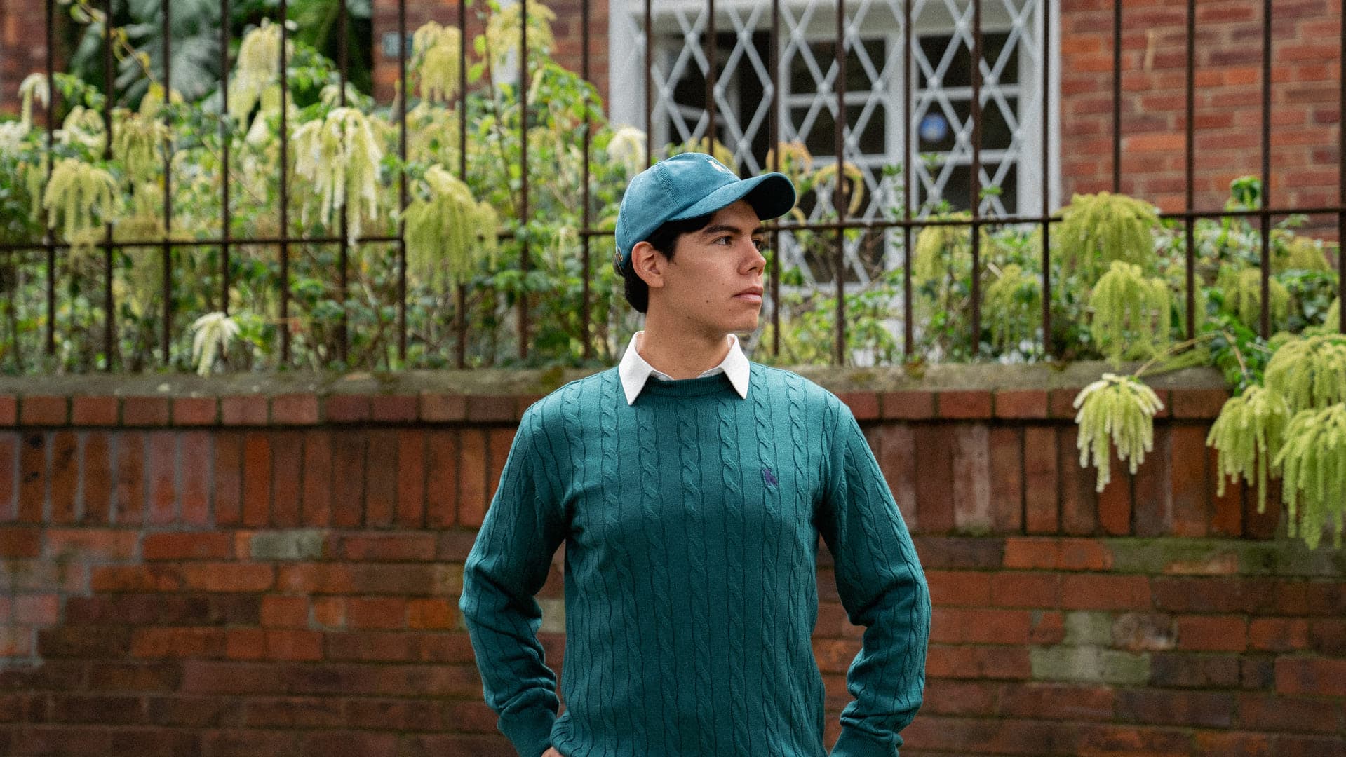 NUEVAS PLANTAS - Explora nuestra selección recién llegada de plantas exóticas y bonsáis.